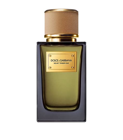 dolce gabbana velvet tender oud